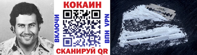 Купить где  Питкяранта  COCAIN FishScale 
