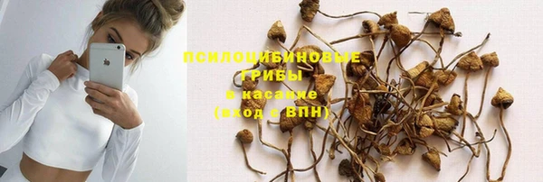 ПСИЛОЦИБИНОВЫЕ ГРИБЫ Беломорск