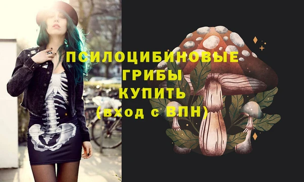 ПСИЛОЦИБИНОВЫЕ ГРИБЫ Беломорск