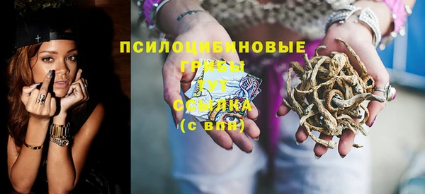 сатива Богородск