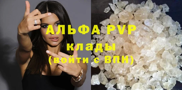 крисы Белокуриха