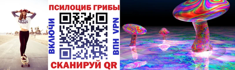 Купить  Питкяранта  Псилоцибиновые грибы мухоморы 