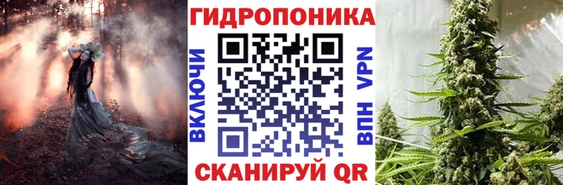 Купить где Питкяранта Каннабис семена